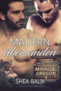 Mauern überwinden - Shea Balik - E-Book