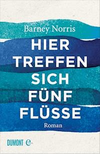 Hier treffen sich fünf Flüsse - Barney Norris - E-Book