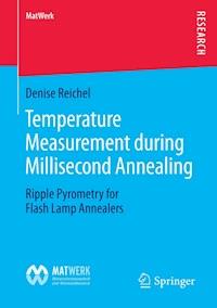 Temperature Measurement during Millisecond Annealing - Denise Reichel - E-Book