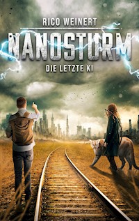 Nanosturm - Rico Weinert - E-Book