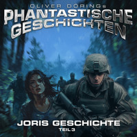 Phantastische Geschichten, Joris Geschichte Teil 3 - Oliver Döring - Hörbuch