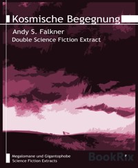 Kosmische Begegnung - Andy S. Falkner - E-Book