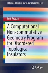 A Computational Non-commutative Geometry Program for Disordered Topological Insulators - Emil Prodan - E-Book