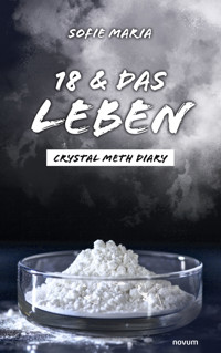 18 & das Leben - Sofie Maria - E-Book