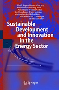 Sustainable Development and Innovation in the Energy Sector - Ulrich Steger - E-Book