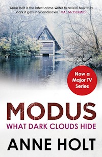 What Dark Clouds Hide - Anne Holt - E-Book