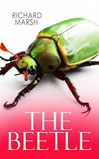 THE BEETLE - Marsh Richard - E-Book