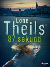 87 sekund - Lone Theils - E-Book