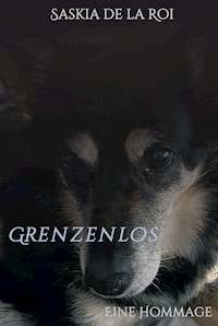 Grenzenlos - Saskia de la Roi - E-Book