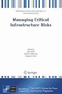 Managing Critical Infrastructure Risks -  - E-Book