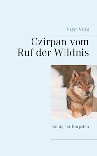 Czirpan vom Ruf der Wildnis - Hagen Mätzig - E-Book