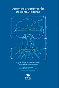 Aprende programación de computadoras - Miguel Ángel Aquino Martínez - E-Book