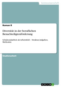 Diversität in der beruflichen Benachteiligtenförderung - Roman R - E-Book