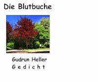 Die Blutbuche - Gudrun Heller - kostenlos E-Book