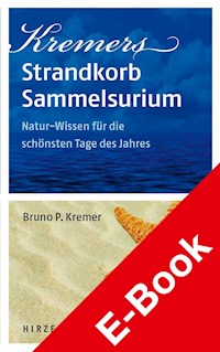 Kremers Strandkorb-Sammelsurium - Bruno P. Kremer - E-Book