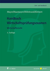 Handbuch Wirtschaftsprüfungsexamen - Volker Mayer - E-Book
