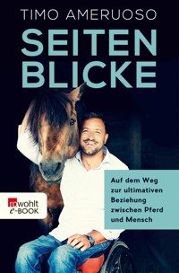 Seitenblicke - Timo Ameruoso - E-Book