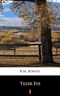 Tiger Eye - B.m. Bower - E-Book