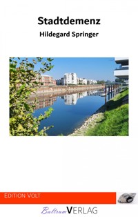 Stadtdemenz - Hildegard Springer - E-Book
