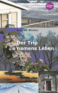Der Trip namens Leben - Gideon Winter - E-Book