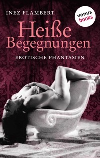 Heiße Begegnungen - Inez Flambert - E-Book