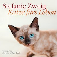 Katze fürs Leben - Stefanie Zweig - Hörbuch