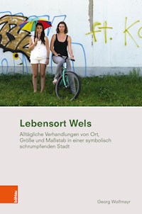 Lebensort Wels - Georg Wolfmayr - E-Book