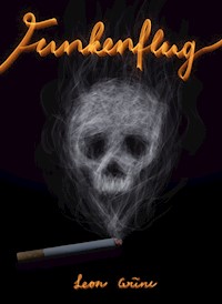 Funkenflug - Leon Grüne - E-Book
