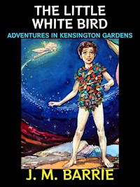 The Little White Bird - J.m Barrie - E-Book