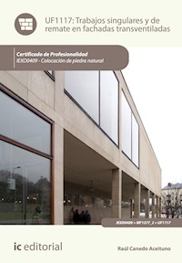 Trabajos singulares y de remate en fachadas transventiladas. IEXD0409 - Raúl Canedo Aceituno - E-Book