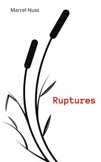 Ruptures - Marcel Nuss - E-Book
