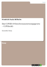 Das COVID-19-Insolvenzaussetzungsgesetz – COVInsAG - Friedrich Paula Wilhelm - E-Book