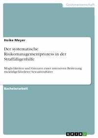 Der systematische Risikomanagementprozess in der Straffälligenhilfe - Heike  Meyer - E-Book