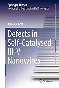 Defects in Self-Catalysed III-V Nanowires - James A. Gott - E-Book