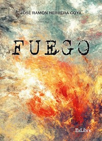 Fuego - José Ramón Herrera Goya - E-Book