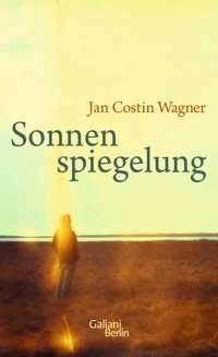 Sonnenspiegelung - Jan Costin Wagner - E-Book