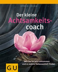 Der kleine Achtsamkeitscoach - Doris Iding - E-Book
