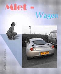Miet - Wagen - Arne Siegel - E-Book