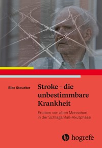 Stroke – die unbestimmbare Krankheit - Elke Steudter - E-Book