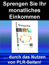Sprengen Sie Ihr monatliches Einkommen - Manfred Frank - E-Book
