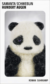 Hundert Augen - Samanta Schweblin - E-Book