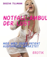 Notfall-Ambulanz der Lust - Sascha Tillmann - E-Book