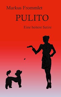 Pulito - Markus Frommlet - E-Book