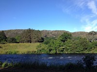 Tödlicher Whisky - Simone Häberli Mlinar - E-Book