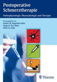 Postoperative Schmerztherapie - Esther Pogatzki-Zahn - E-Book