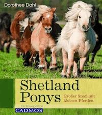 Shetlandponys - Dorothee Dahl - E-Book