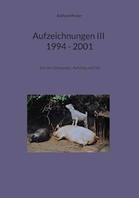 Aufzeichnungen III; 1994 - 2001 - Eckhard Polzer - E-Book