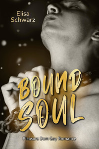 Bound Soul - Elisa Schwarz - E-Book