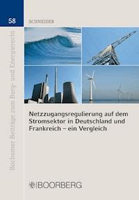 Netzzugangsregulierung auf dem Stromsektor in Deutschland und Frankreich - ein Vergleich - Carmen Schneider - E-Book