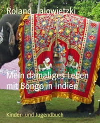 Mein damaliges Leben mit Bongo in Indien - Roland Jalowietzki - E-Book